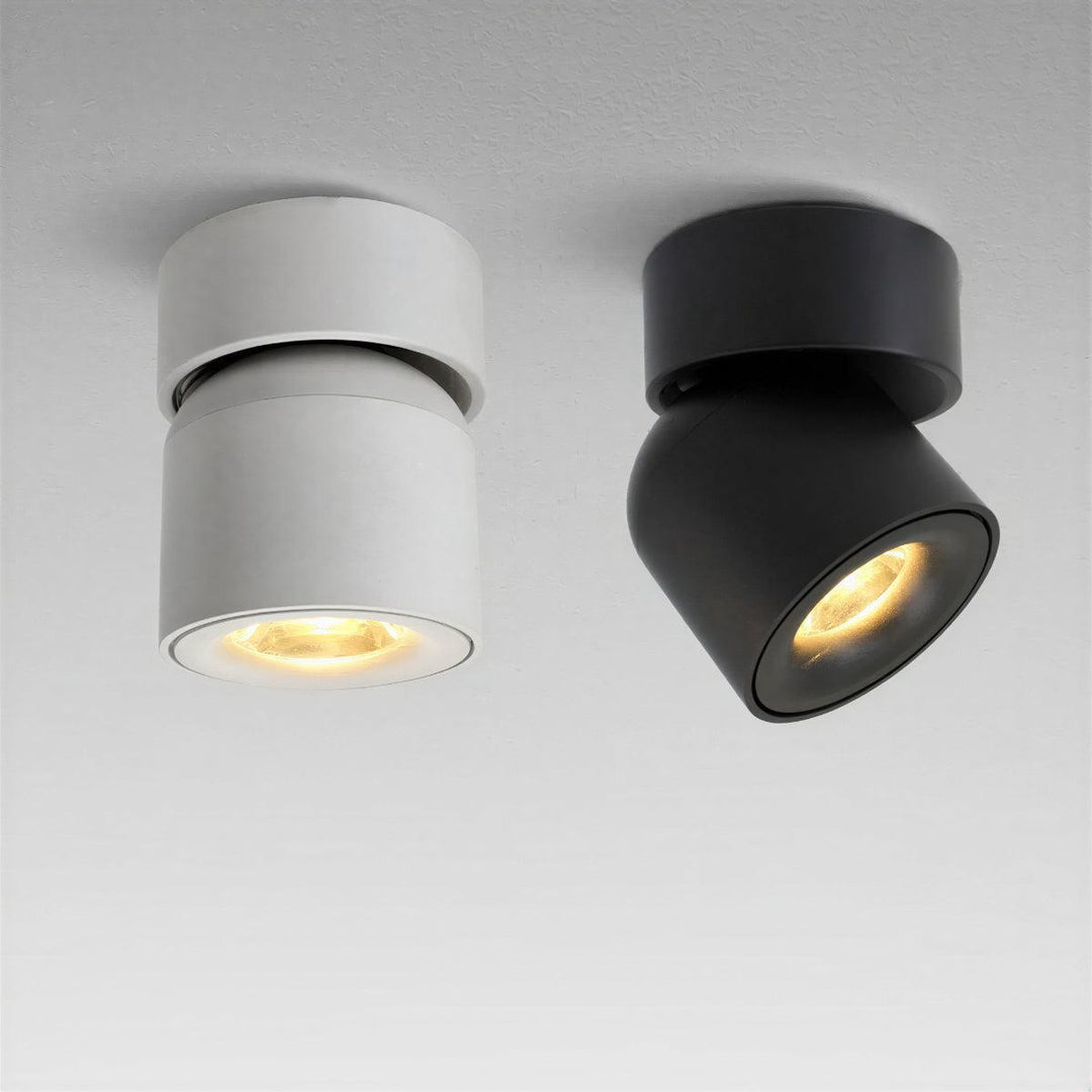 Adjustable Ceiling Mounted Spotlight With Directional Focused Beam