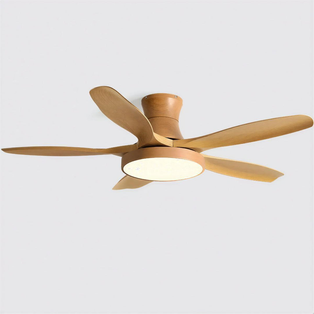 Ceiling Fan Light With Quiet Motor And Remote Control