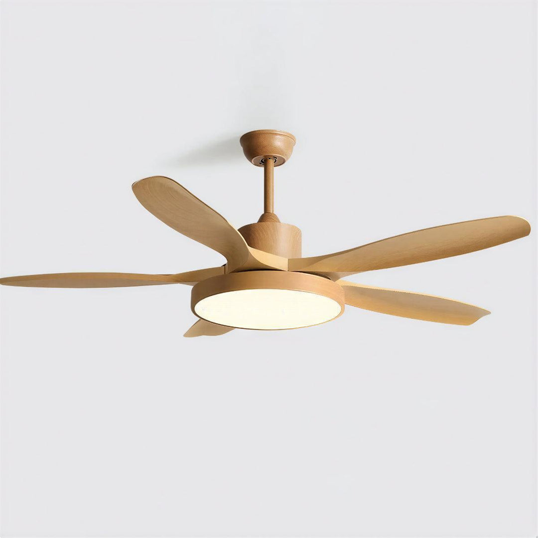 Ceiling Fan Light With Quiet Motor And Remote Control