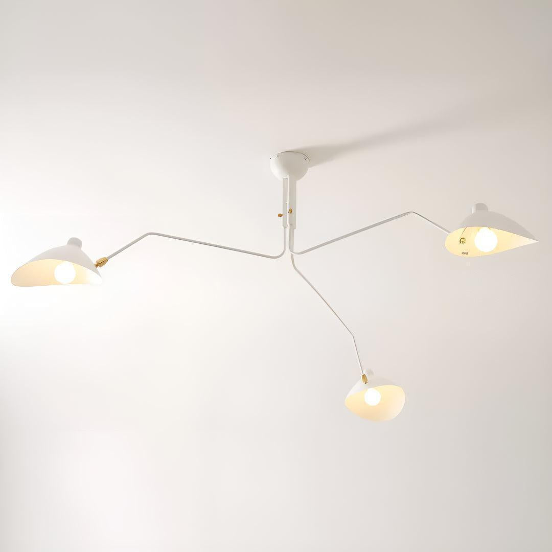 Contemporary Pendant Lamps With Wide Extended Arms