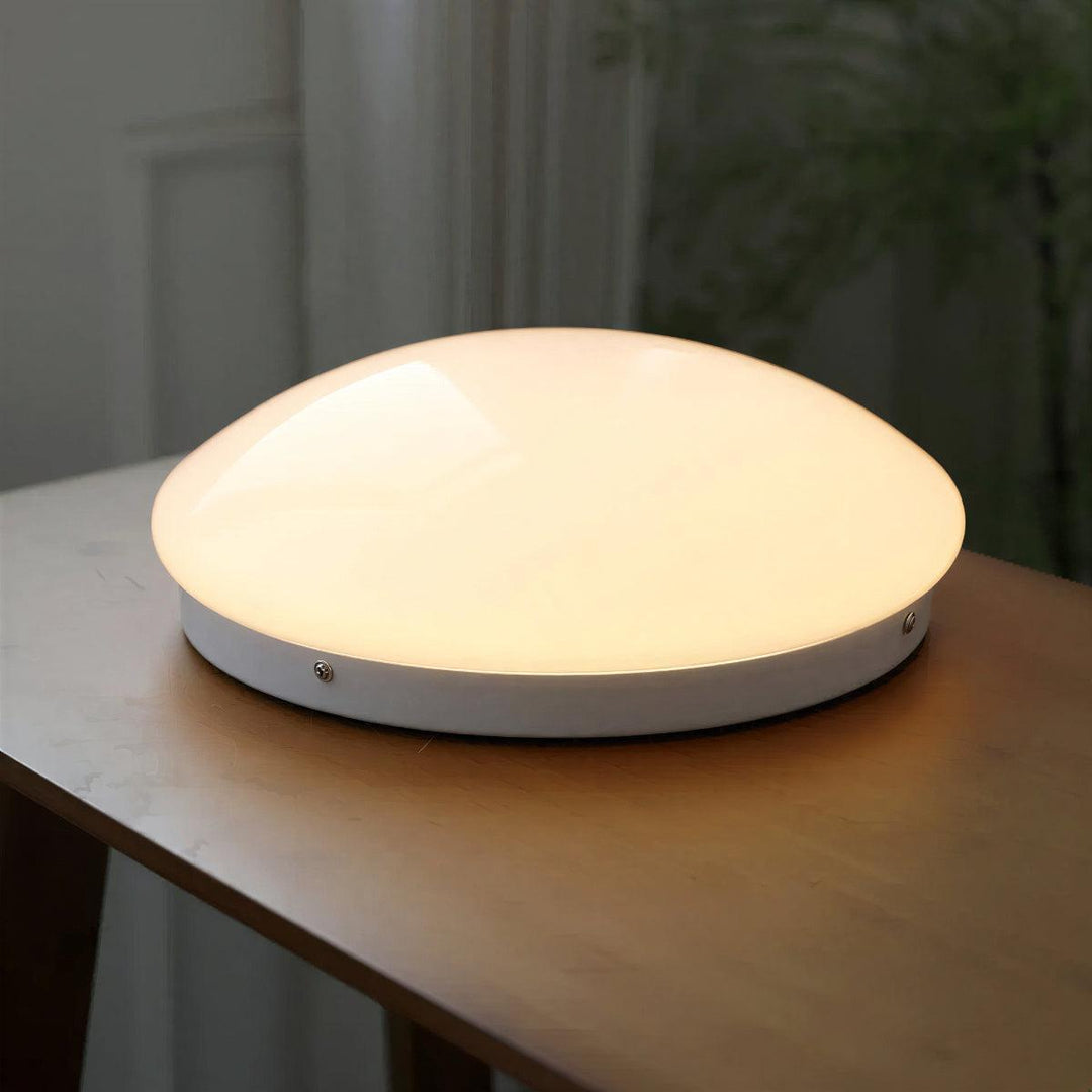 Modern Flush Mount Ceiling Light Fixture With Oyster Light Style