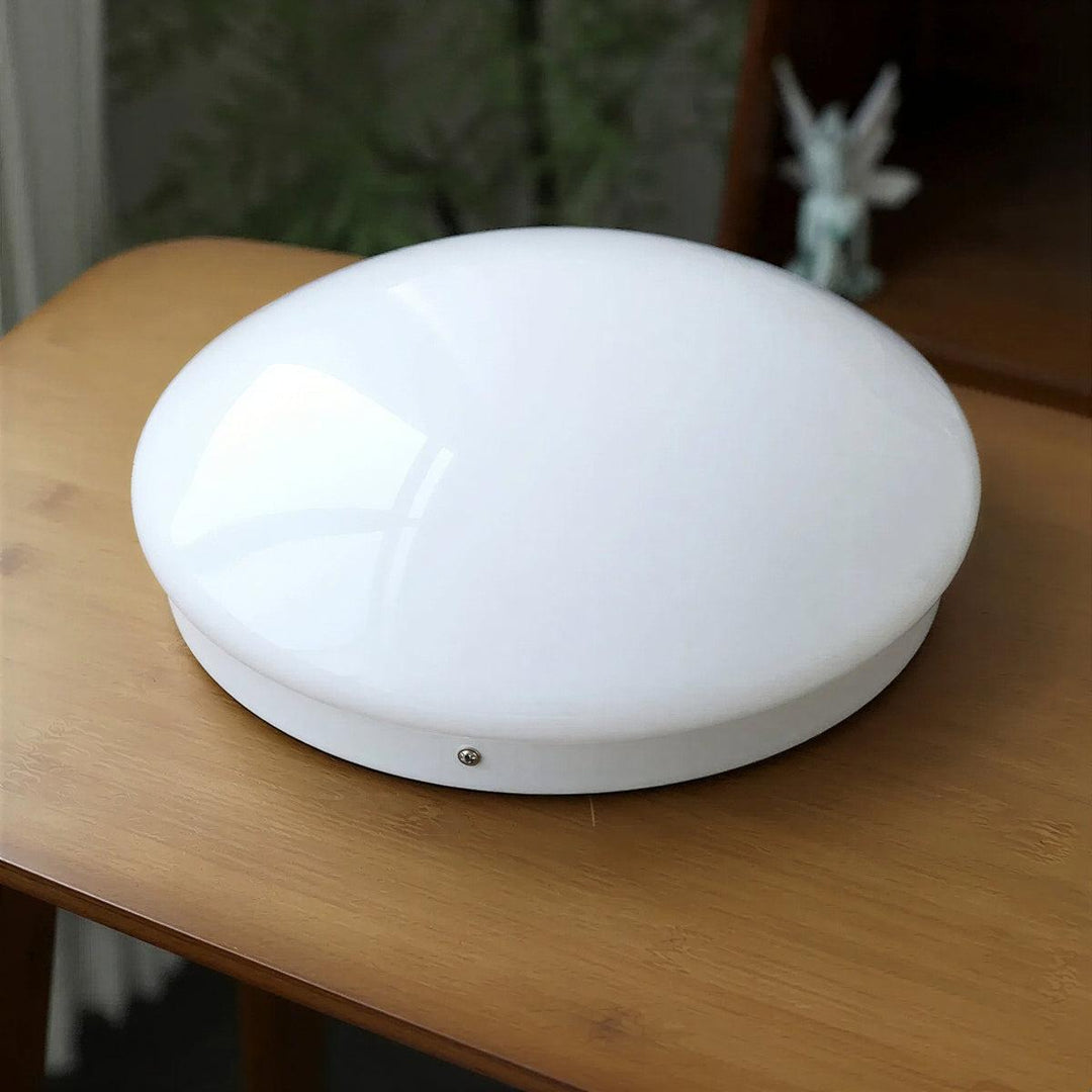 Modern Flush Mount Ceiling Light Fixture With Oyster Light Style