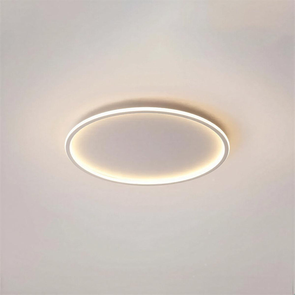 Round Flush Mount Ceiling Light With Interior Illumination