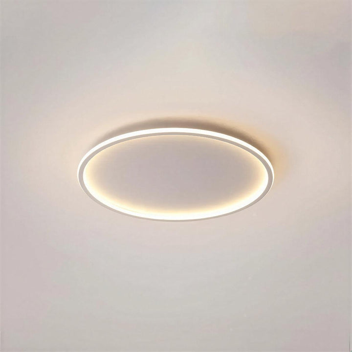 Round Flush Mount Ceiling Light With Interior Illumination