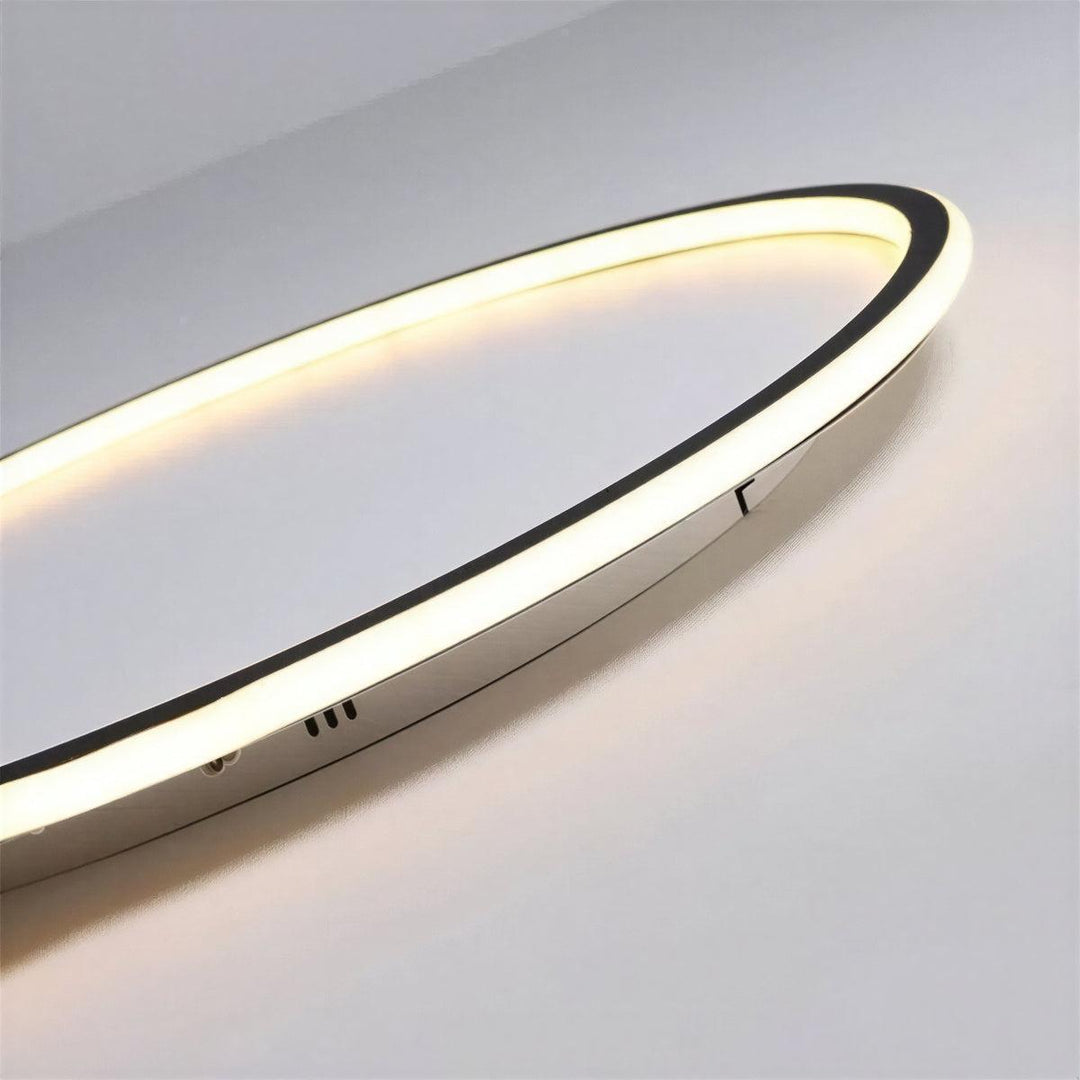 Round Flush Mount Ceiling Light With Interior Illumination