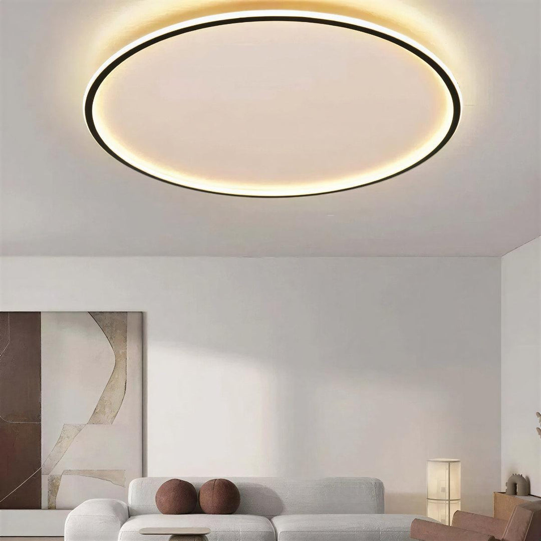 Round Flush Mount Ceiling Light With Interior Illumination