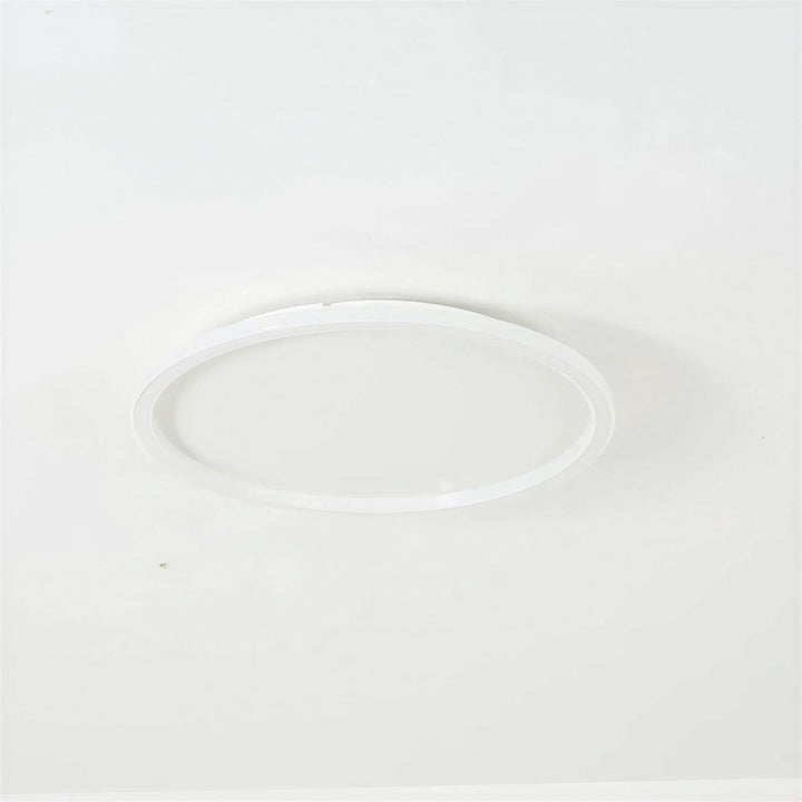 Round Flush Mount Ceiling Light With Interior Illumination