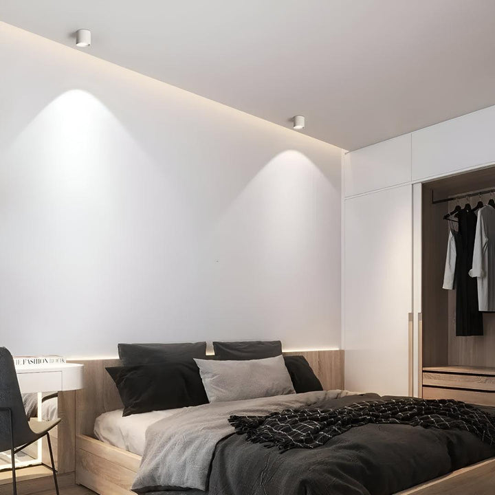 Surface Flush Mounted Downlight With Modern Cylinder Design