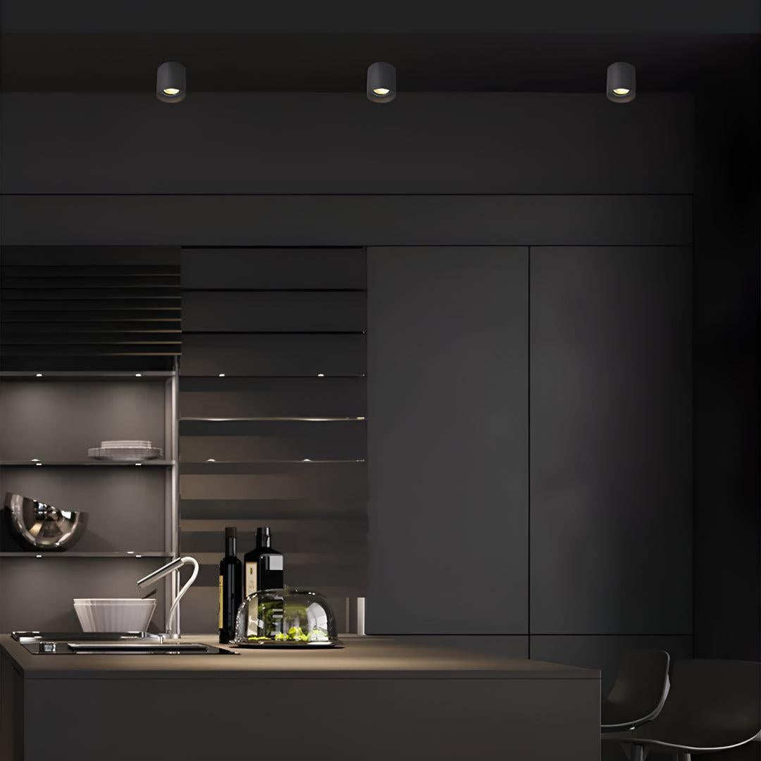 Surface Flush Mounted Downlight With Modern Cylinder Design