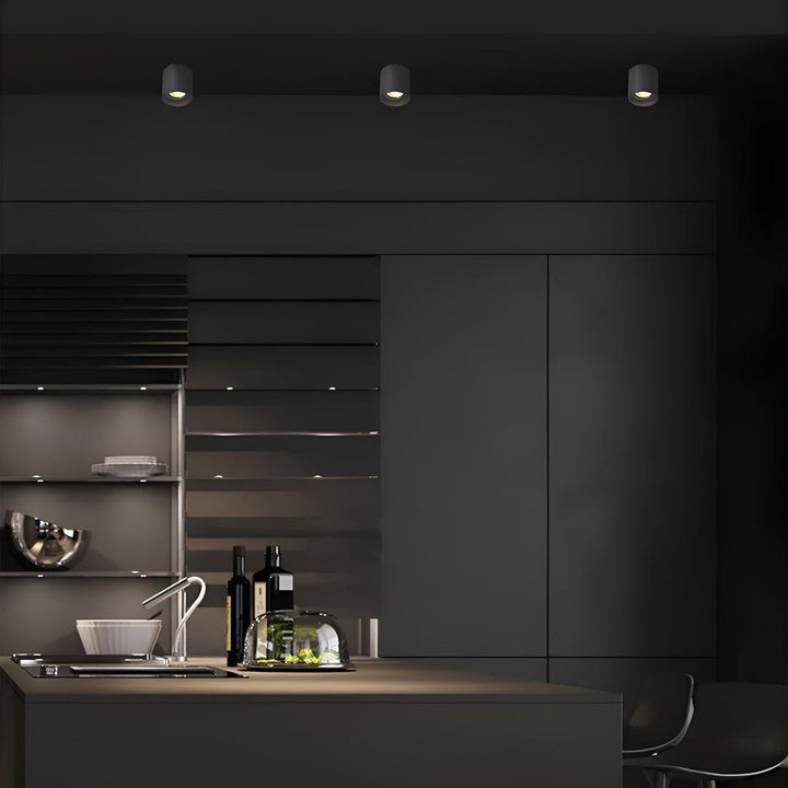 Surface Flush Mounted Downlight With Modern Cylinder Design