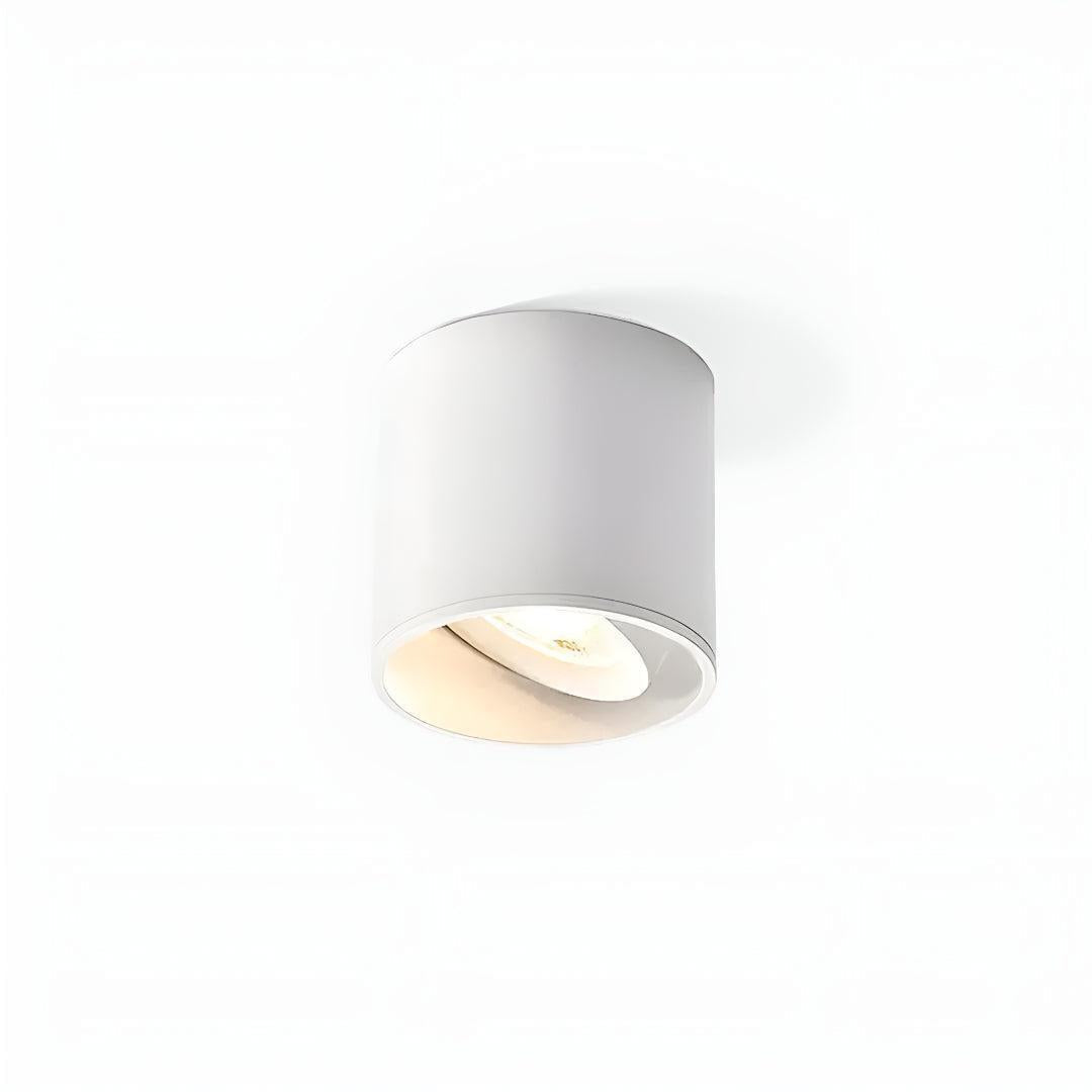 Surface Flush Mounted Downlight With Modern Cylinder Design