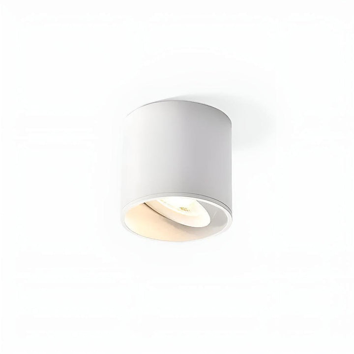 Surface Flush Mounted Downlight With Modern Cylinder Design