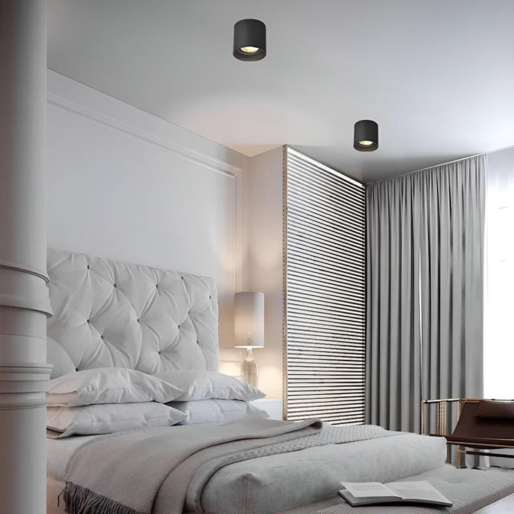 Surface Flush Mounted Downlight With Modern Cylinder Design